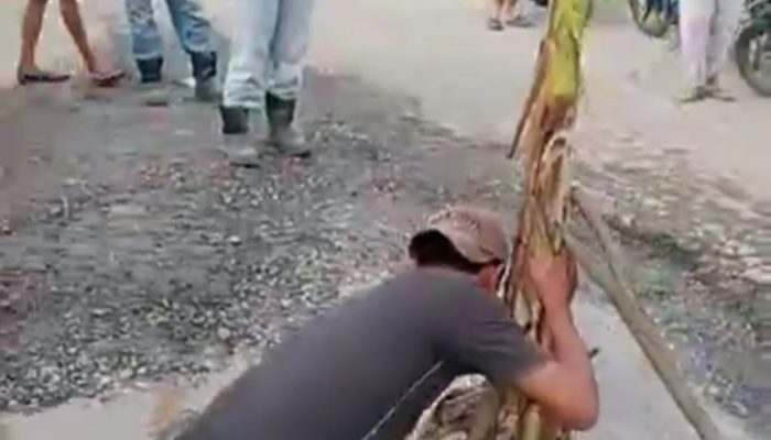 Tanam Pohon Pisang, Masyarakat Sungai Rawa dan Rawa Mekar Jaya Minta Pemda Siak Perbaiki Jalan yang Hancur