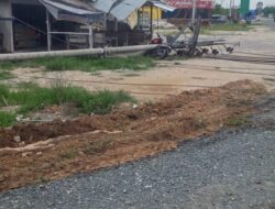 Tiang Listrik Milik PLN Tumbang ,Satu Motor Menjadi Korban